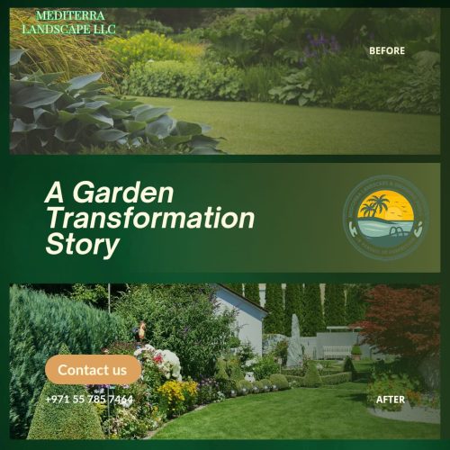 WhatsApp Image 2025-09-29 at 12.47.47 AM