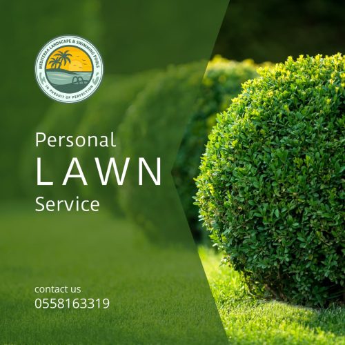 WhatsApp Image 2025-09-29 at 12.47.51 AM (1)